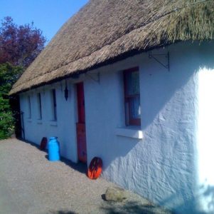 Use Whitewash Instead of Paint for Traditional Look and No Toxins Image